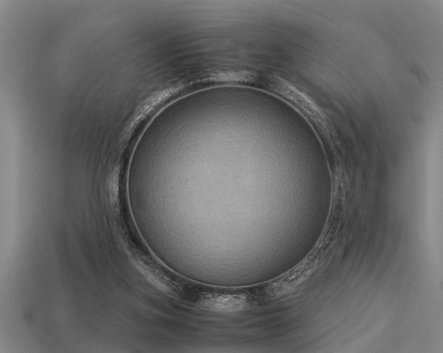 X0000113290155200909141212