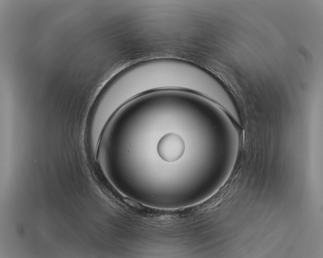 X0000113290156200909141212