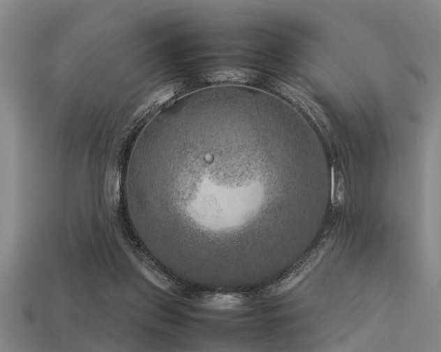 X0000113290157200909141212