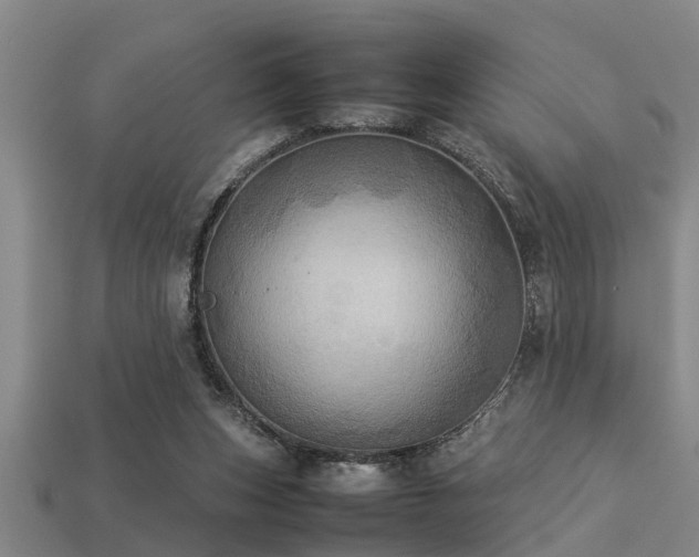 X0000113290159200909141212