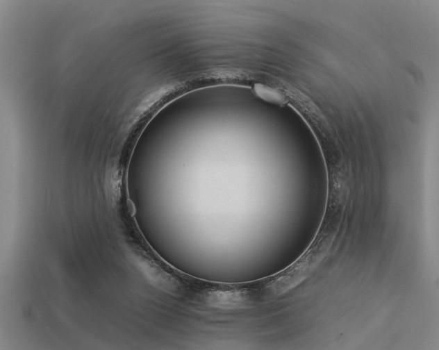 X0000113290160200909141212