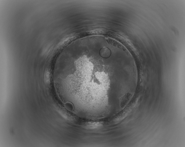 X0000113290161200909141212