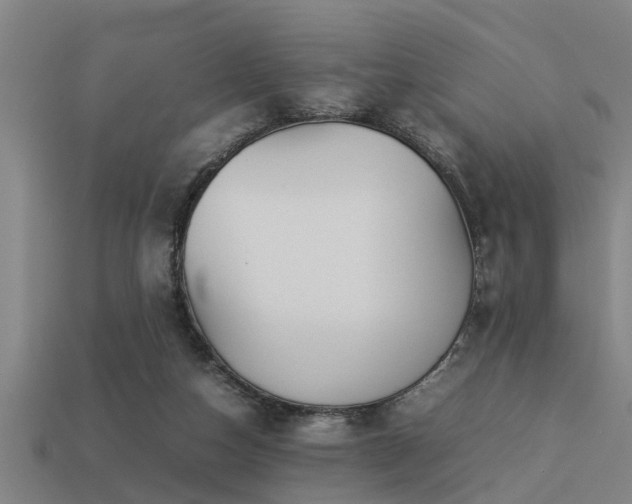 X0000113290162200909141212