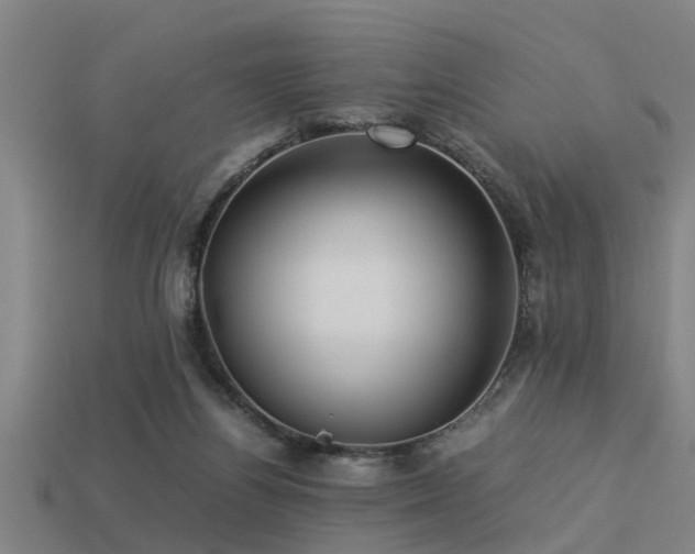 X0000113290164200909141212