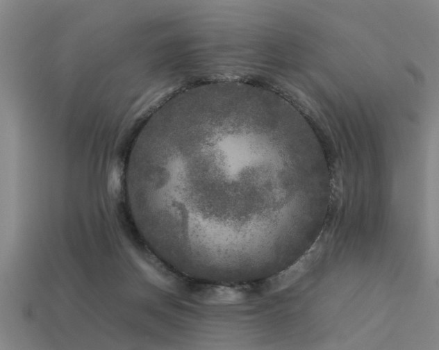 X0000113290166200909141212