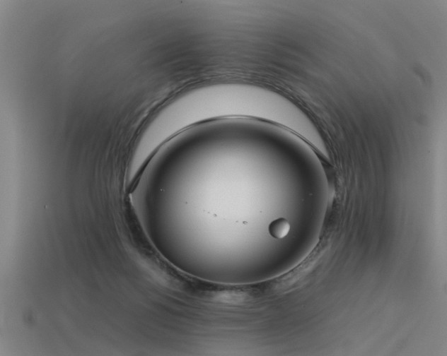 X0000113290168200909141212