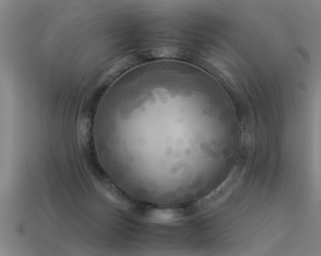 X0000113290171200909141212