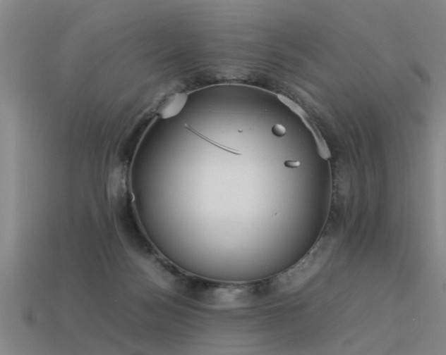 X0000113290172200909141212