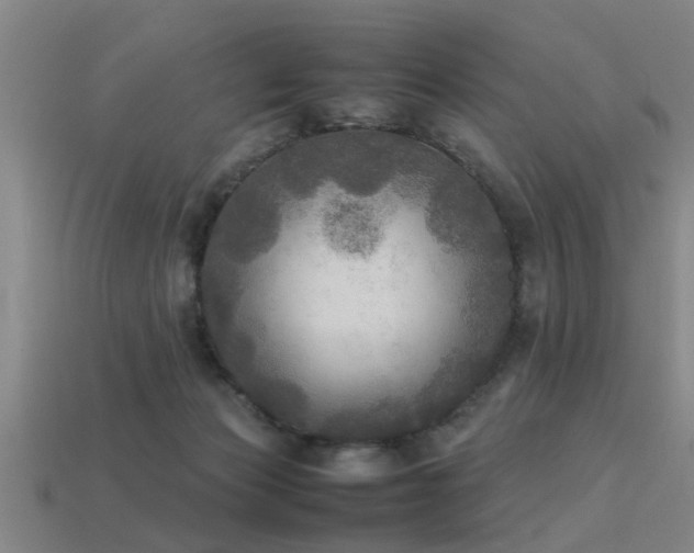 X0000113290173200909141212