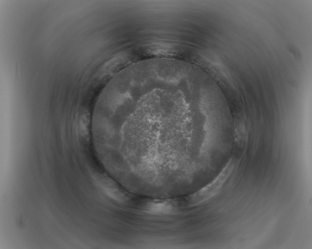 X0000113290175200909141212