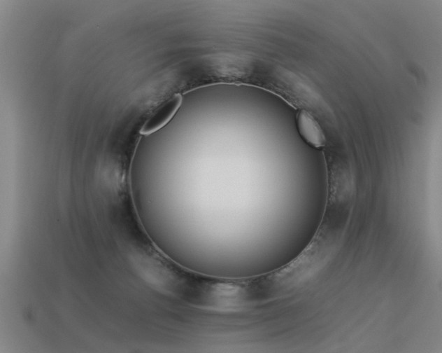 X0000113290176200909141212