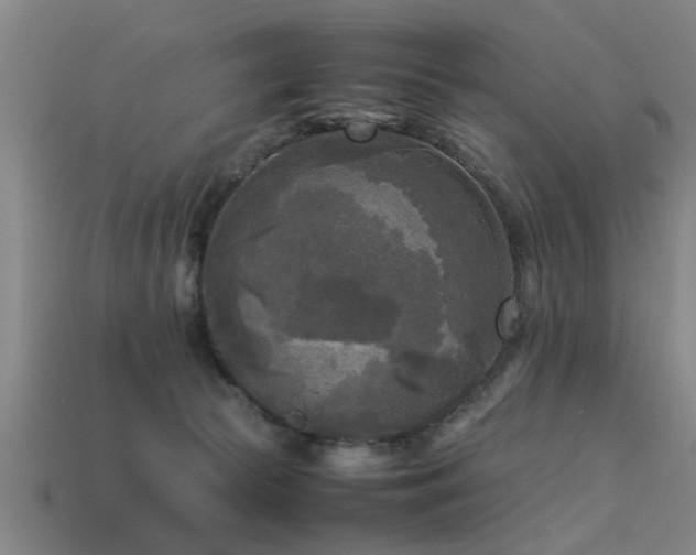 X0000113290177200909141212