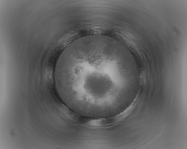 X0000113290178200909141212