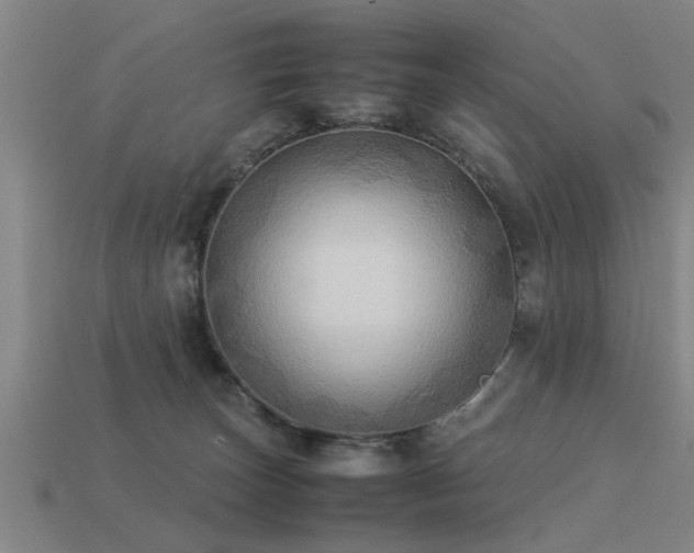 X0000113290179200909141212