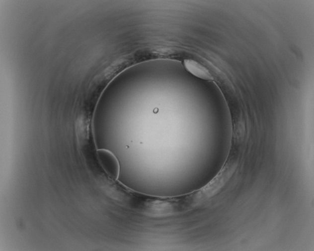 X0000113290180200909141212