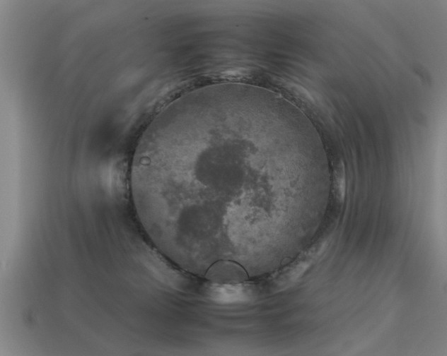 X0000113290181200909141212