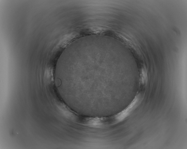 X0000113290182200909141212