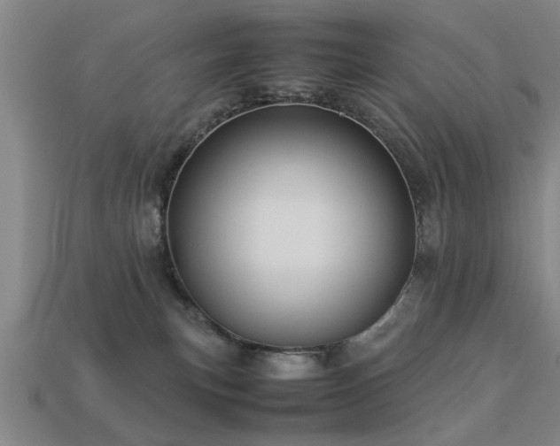 X0000113290183200909141212