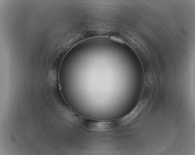 X0000113290184200909141212