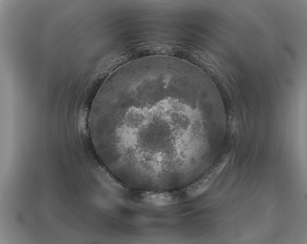 X0000113290185200909141212