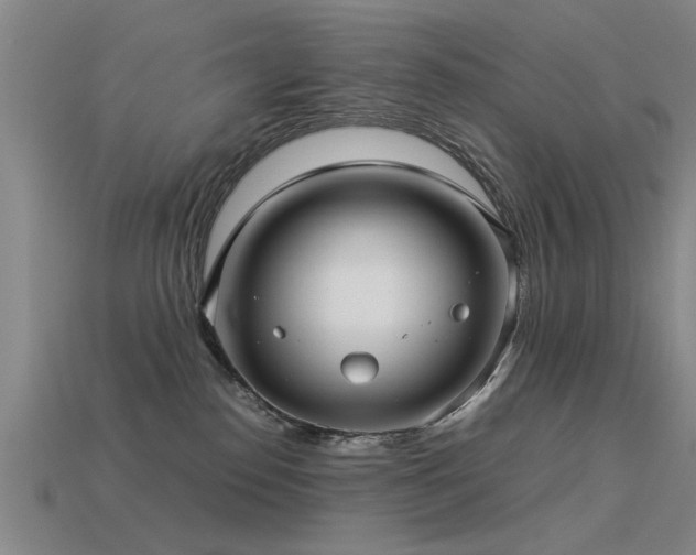 X0000113290186200909141212