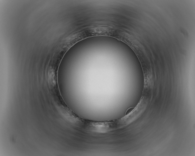 X0000113290187200909141212