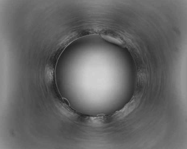 X0000113290188200909141212