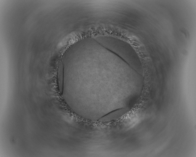 X0000113290192200909141212