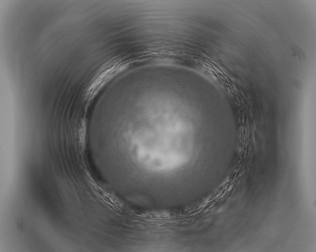 X0000113290194200909141211