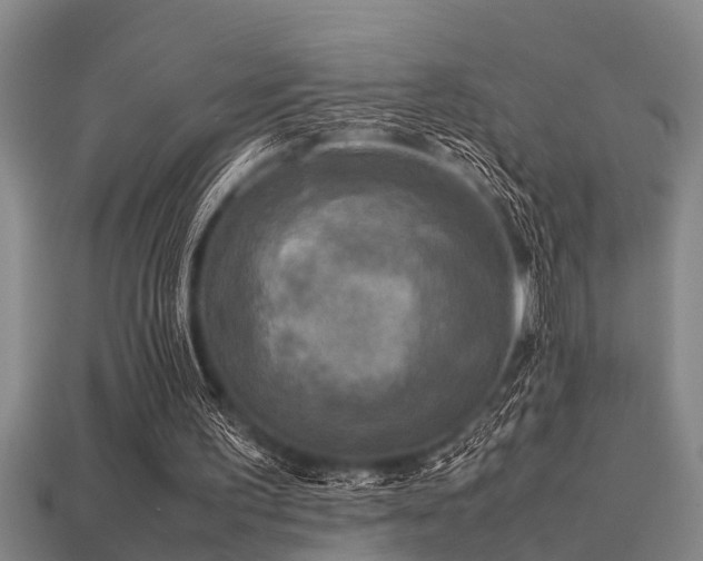 X0000113290195200909141211