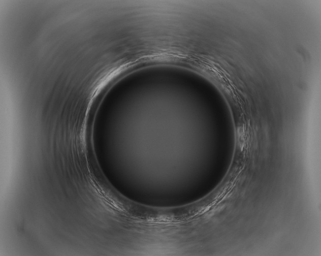 X0000113290196200909141211