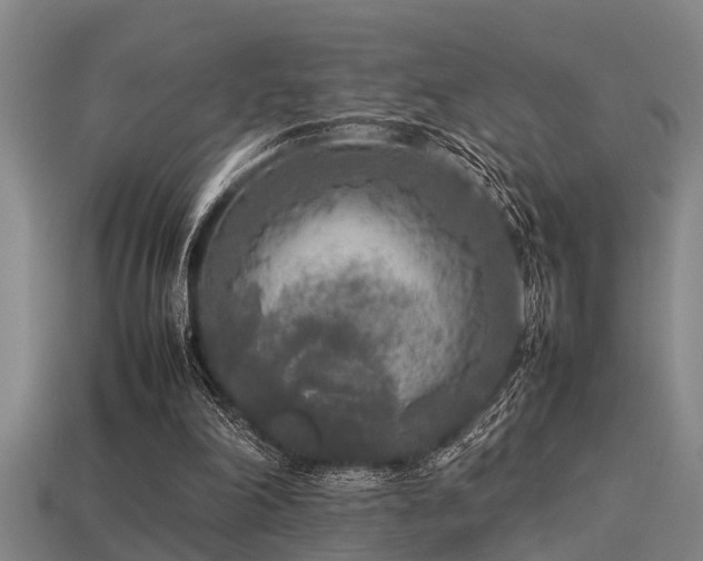 X0000113290198200909141211