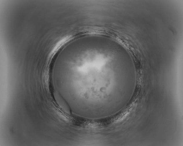 X0000113290199200909141211