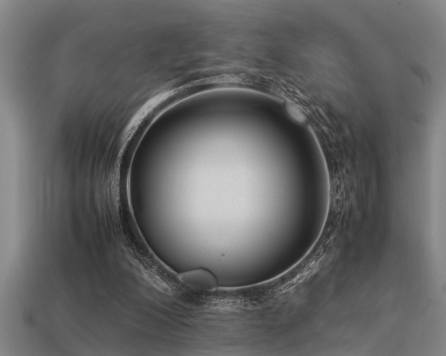 X0000113290200200909141211