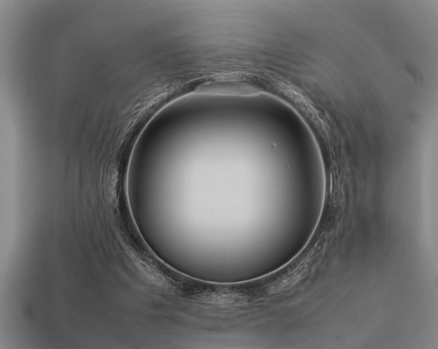 X0000113290201200909141211