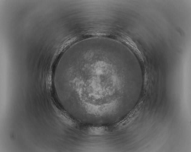 X0000113290202200909141211