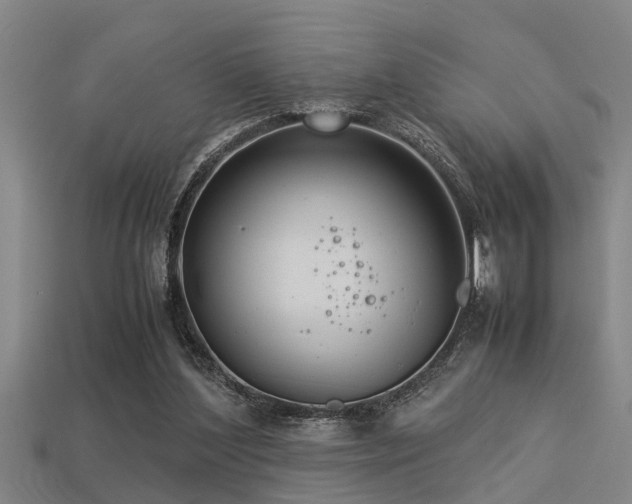 X0000113290204200909141211