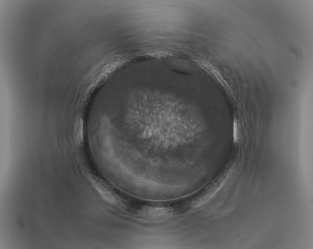 X0000113290205200909141211