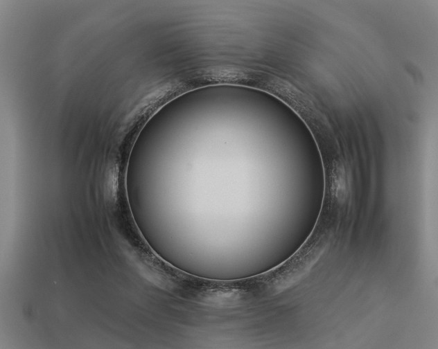 X0000113290206200909141211