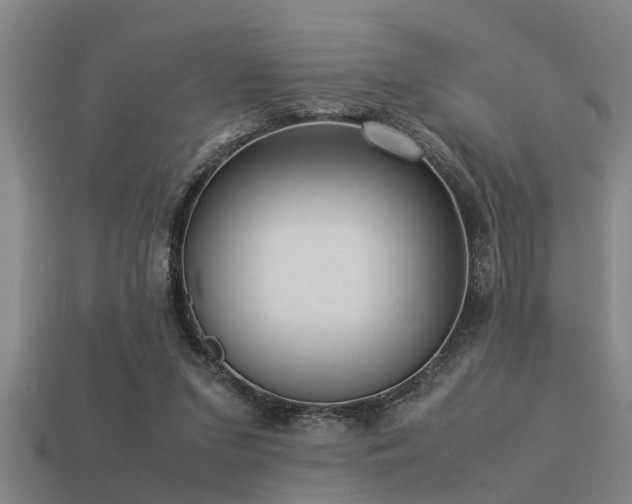 X0000113290207200909141211