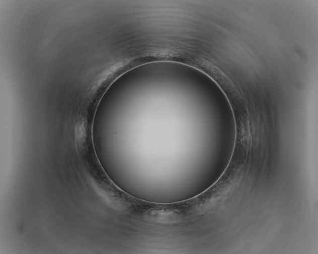 X0000113290208200909141211