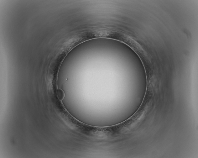 X0000113290209200909141211