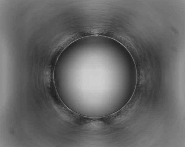 X0000113290210200909141211