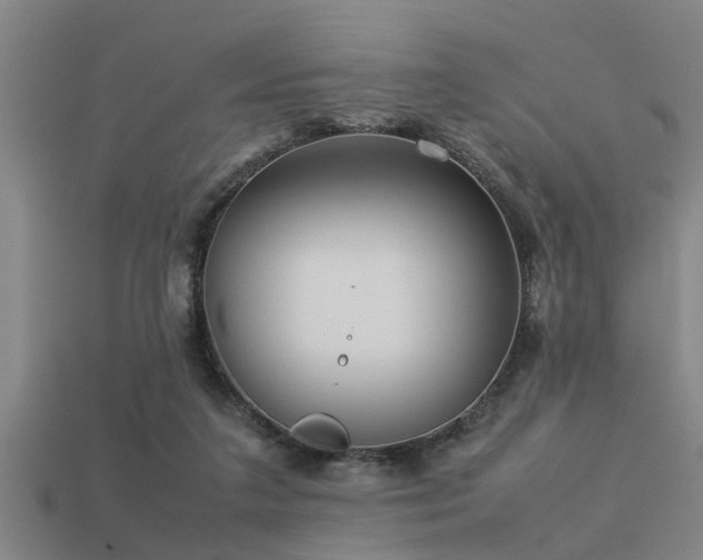 X0000113290211200909141211