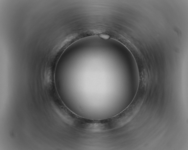 X0000113290212200909141211