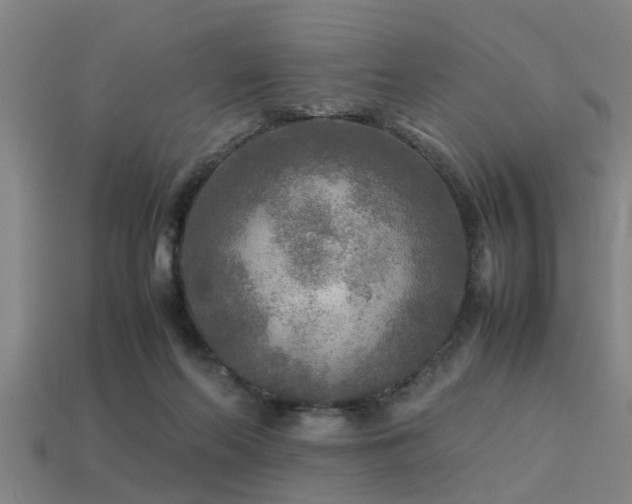 X0000113290214200909141211