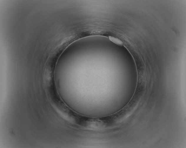 X0000113290215200909141211