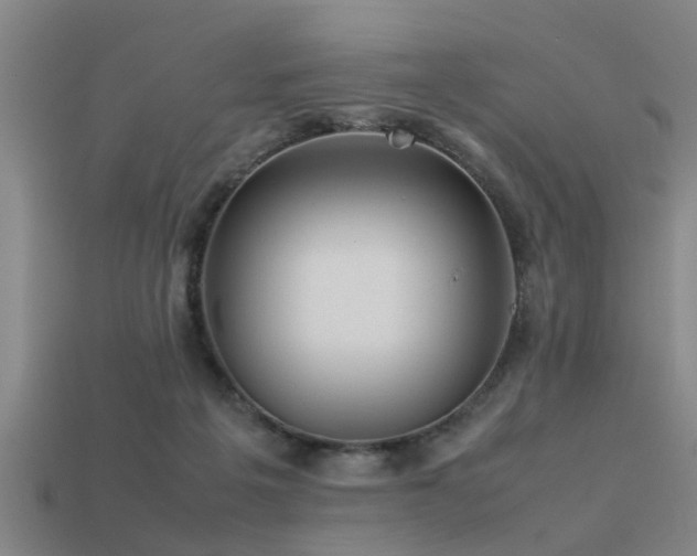 X0000113290217200909141211