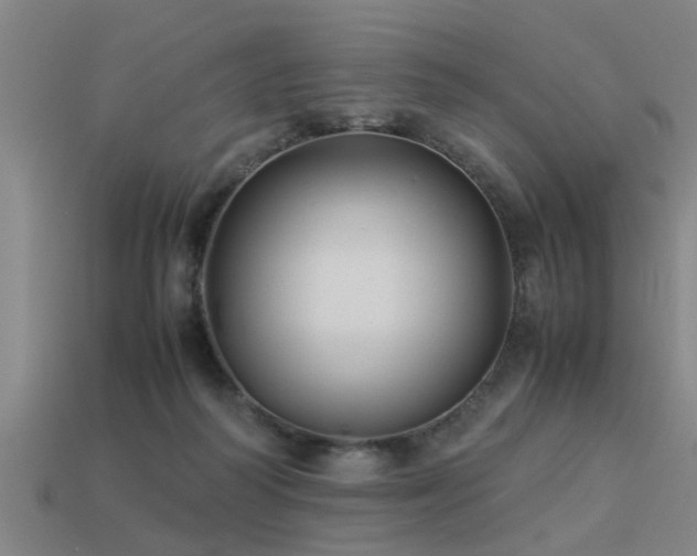 X0000113290218200909141211