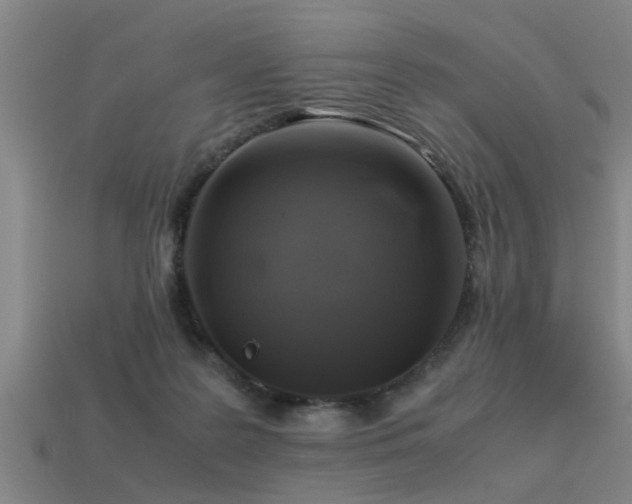 X0000113290219200909141211